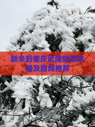 新余到重庆武隆旅游攻略及路线推荐