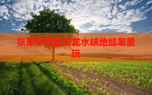 张家界到重庆龙水峡地缝哪里玩