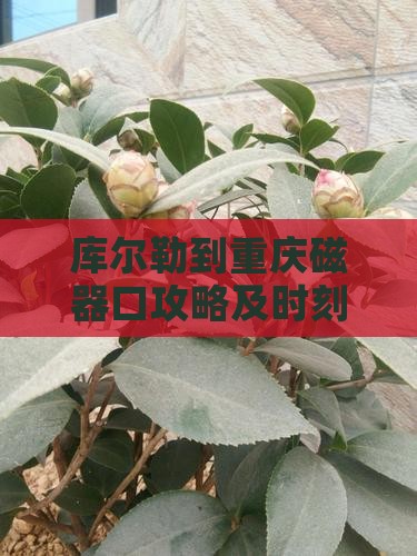 库尔勒到重庆磁器口攻略及时刻表查询