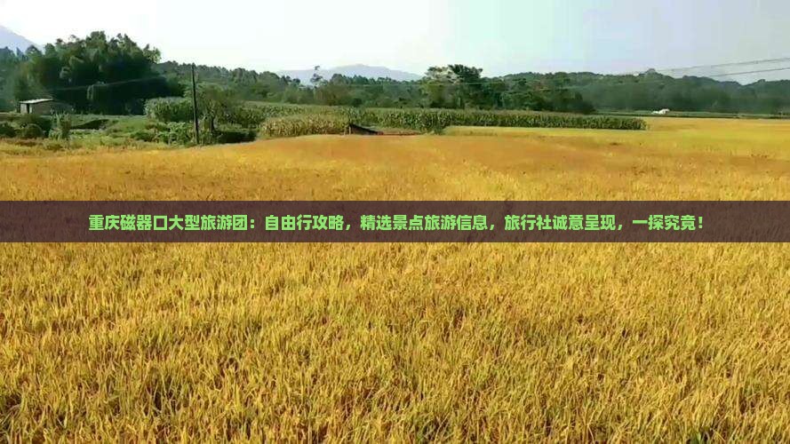 重庆磁器口大型旅游团：自由行攻略，精选景点旅游信息，旅行社诚意呈现，一探究竟！