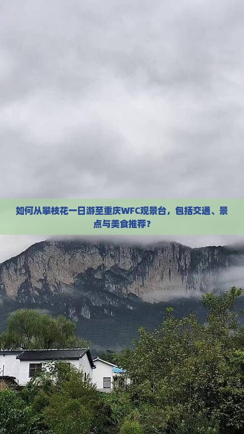 如何从攀枝花一日游至重庆WFC观景台，包括交通、景点与美食推荐？