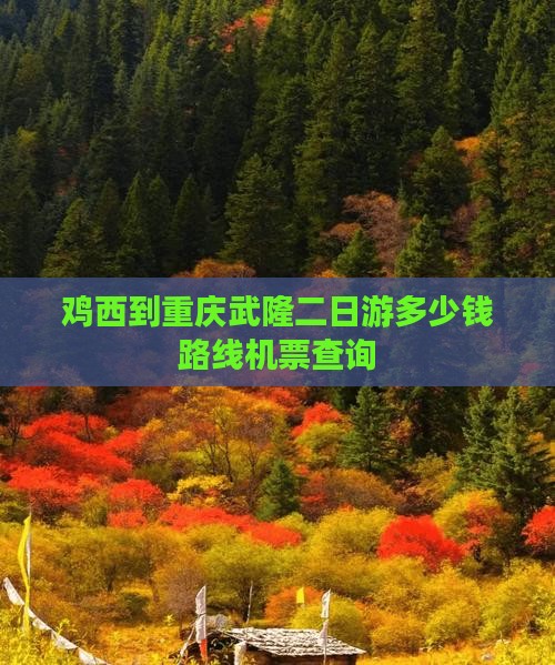鸡西到重庆武隆二日游多少钱路线机票查询