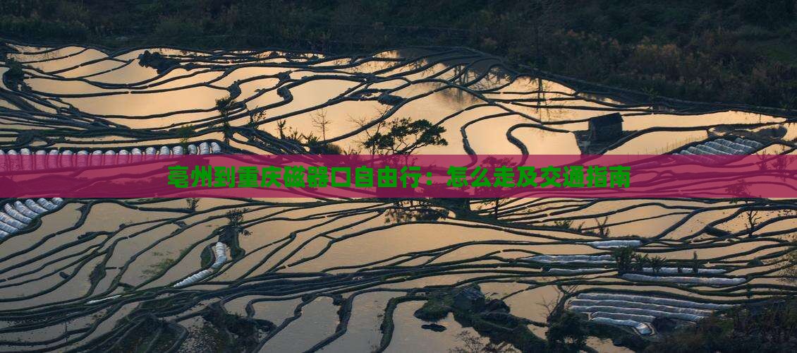 亳州到重庆磁器口自由行：怎么走及交通指南