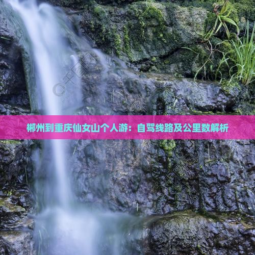 郴州到重庆仙女山个人游：自驾线路及公里数解析
