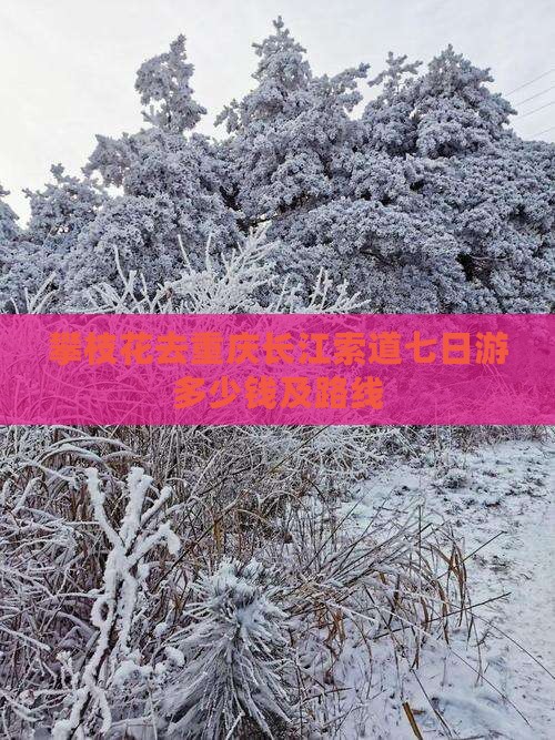 攀枝花去重庆长江索道七日游多少钱及路线