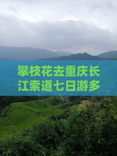 攀枝花去重庆长江索道七日游多少钱及路线