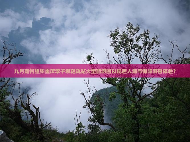 九月如何组织重庆李子坝轻轨站大型旅游团以规避人潮与保障游客体验？
