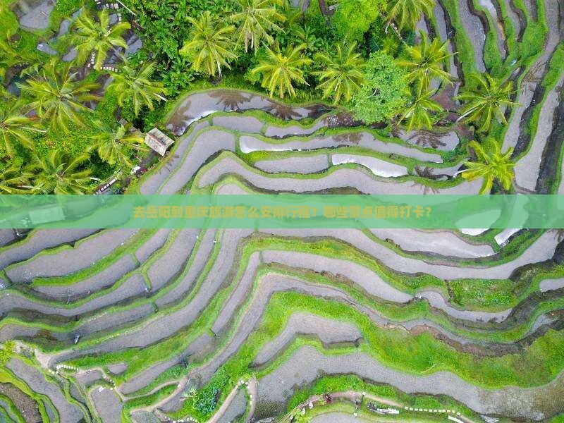去岳阳到重庆旅游怎么安排行程？哪些景点值得打卡？