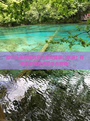 如何从西双版纳前往重庆磁器口旅游？有哪些交通方式和景点推荐？