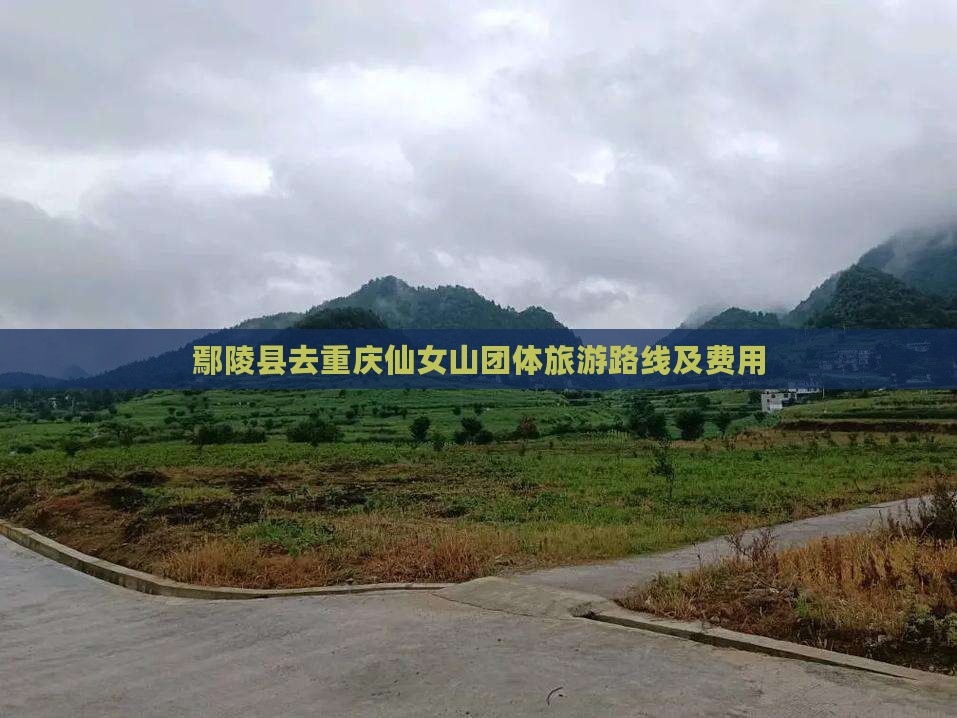 鄢陵县去重庆仙女山团体旅游路线及费用