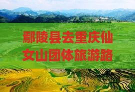 鄢陵县去重庆仙女山团体旅游路线及费用