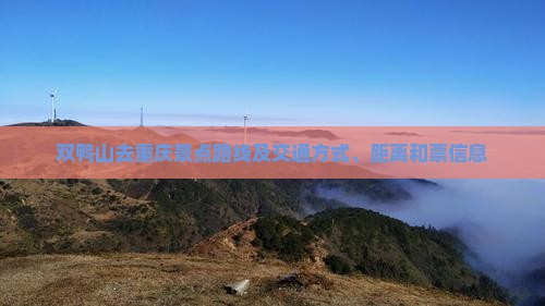 双鸭山去重庆景点路线及交通方式、距离和票信息