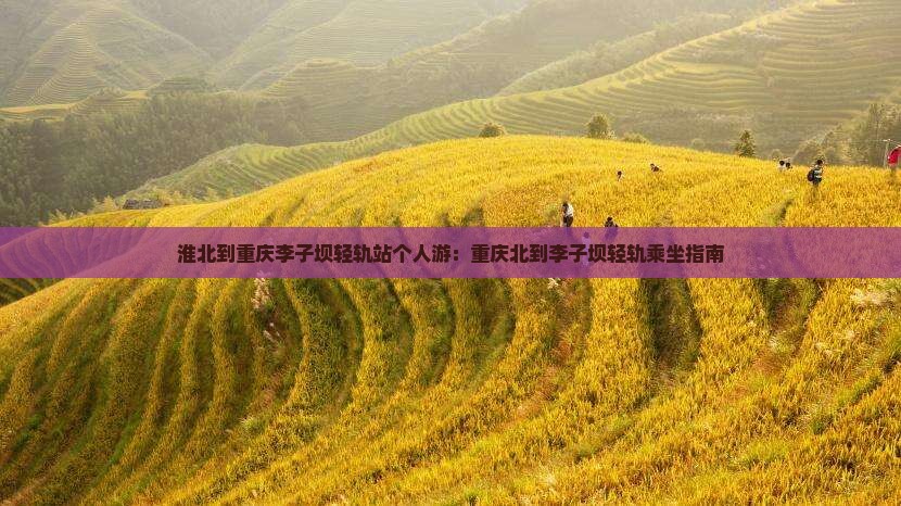 淮北到重庆李子坝轻轨站个人游：重庆北到李子坝轻轨乘坐指南