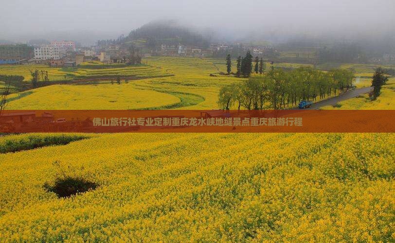 佛山旅行社专业定制重庆龙水峡地缝景点重庆旅游行程