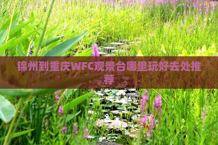 锦州到重庆WFC观景台哪里玩好去处推荐
