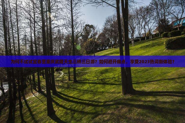 为何不试试宜春至重庆武隆天生三桥三日游？如何避开痛点，享受2023热词新体验？