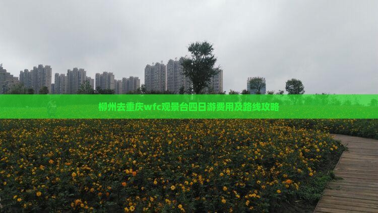 柳州去重庆wfc观景台四日游费用及路线攻略