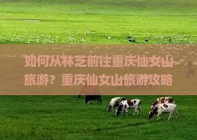 如何从林芝前往重庆仙女山旅游？重庆仙女山旅游攻略与必游景点有哪些？
