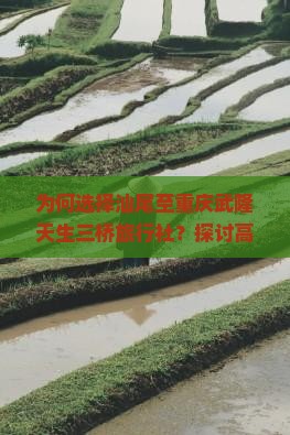 为何选择汕尾至重庆武隆天生三桥旅行社？探讨高品质出行新痛点与热词攻略