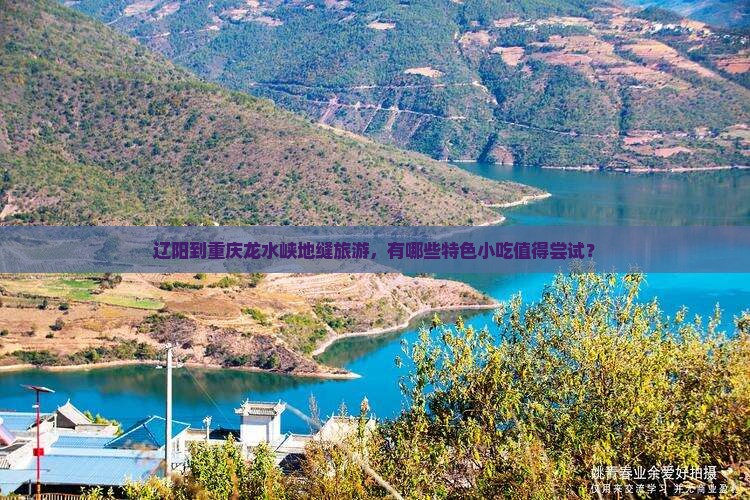 辽阳到重庆龙水峡地缝旅游，有哪些特色小吃值得尝试？