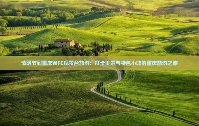 清明节到重庆WFC观景台旅游：打卡美景与特色小吃的重庆旅游之旅