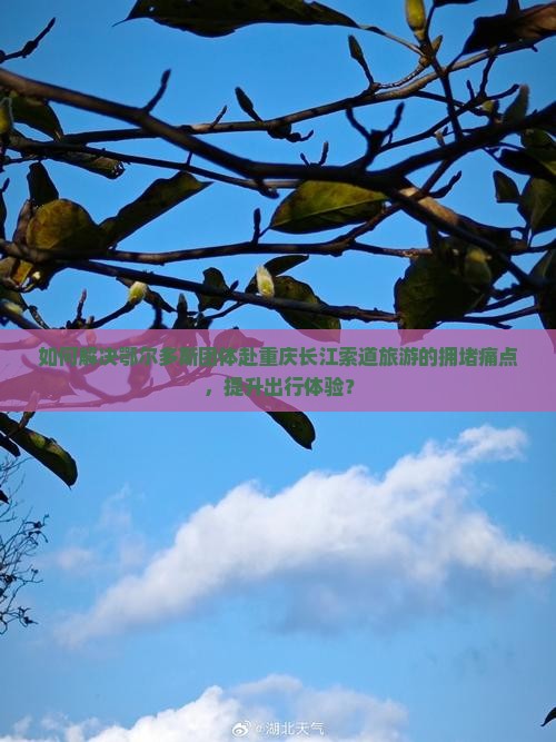 如何解决鄂尔多斯团体赴重庆长江索道旅游的拥堵痛点，提升出行体验？
