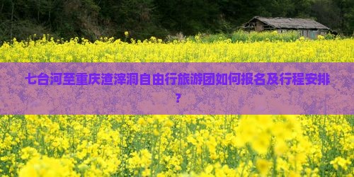 七台河至重庆渣滓洞自由行旅游团如何报名及行程安排？