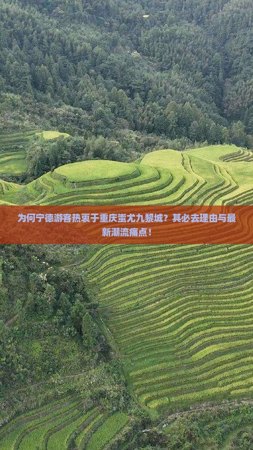 为何宁德游客热衷于重庆蚩尤九黎城？其必去理由与最新潮流痛点！