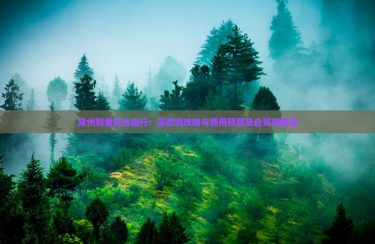 常州到重庆自由行：深度游攻略与费用预算及自驾游指南