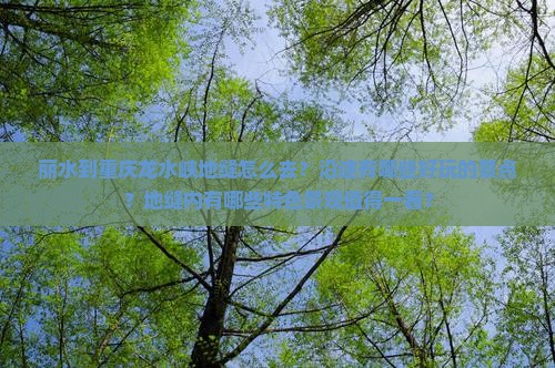 丽水到重庆龙水峡地缝怎么去？沿途有哪些好玩的景点？地缝内有哪些特色景观值得一看？