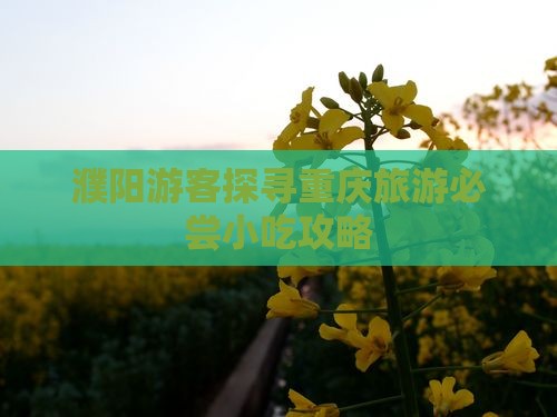 濮阳游客探寻重庆旅游必尝小吃攻略