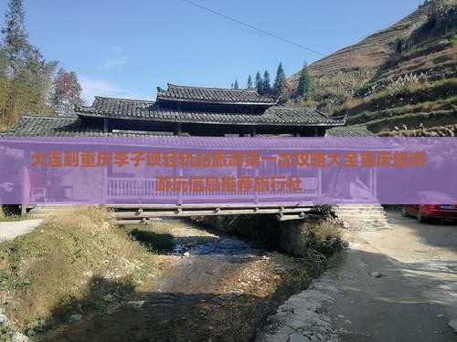 大连到重庆李子坝轻轨站旅游第一次攻略大全重庆旅游游玩信息推荐旅行社