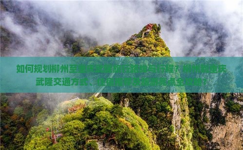 如何规划柳州至重庆武隆旅行路线与行程？柳州到重庆武隆交通方式、住宿推荐及旅游亮点全攻略？