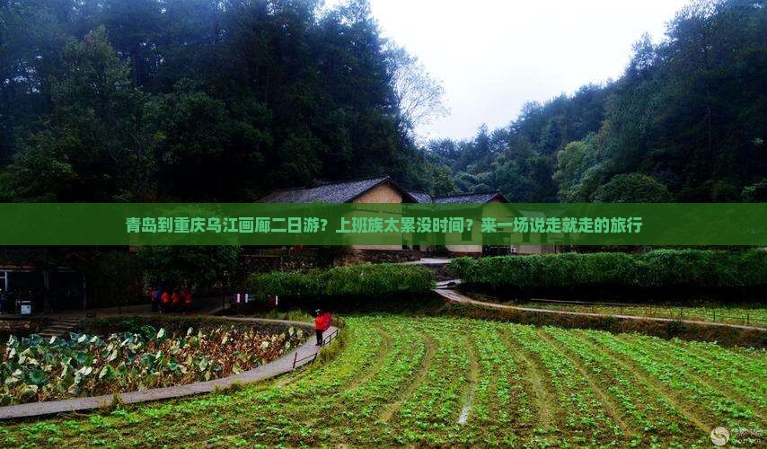 青岛到重庆乌江画廊二日游？上班族太累没时间？来一场说走就走的旅行