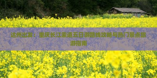达州出发：重庆长江索道五日游路线攻略与热门景点旅游指南