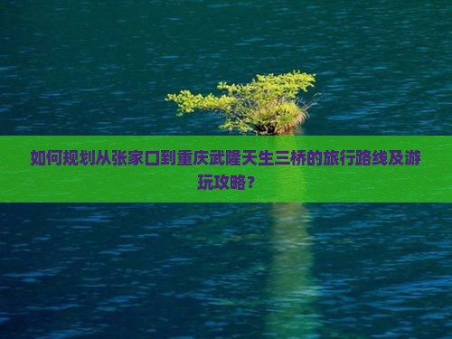 如何规划从张家口到重庆武隆天生三桥的旅行路线及游玩攻略？