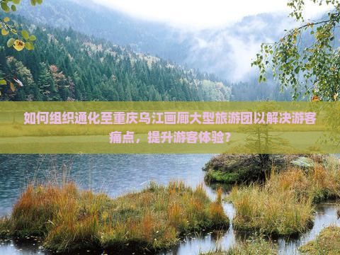 如何组织通化至重庆乌江画廊大型旅游团以解决游客痛点，提升游客体验？