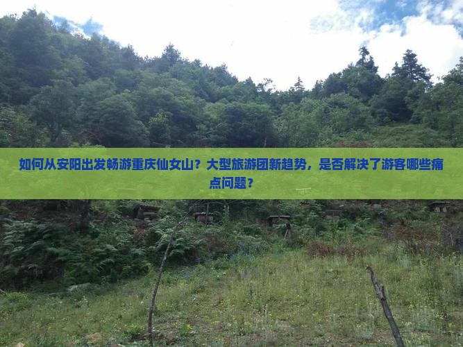 如何从安阳出发畅游重庆仙女山？大型旅游团新趋势，是否解决了游客哪些痛点问题？