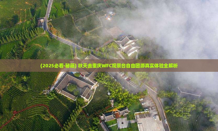秋天去重庆wfc观景台自由团