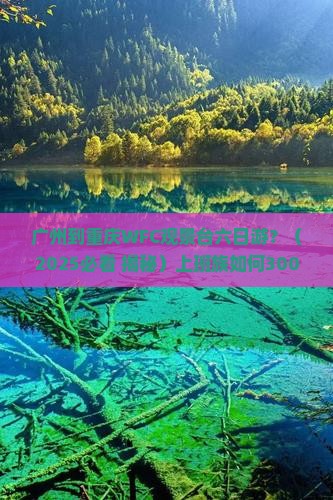 广州到重庆wfc观景台六日游
