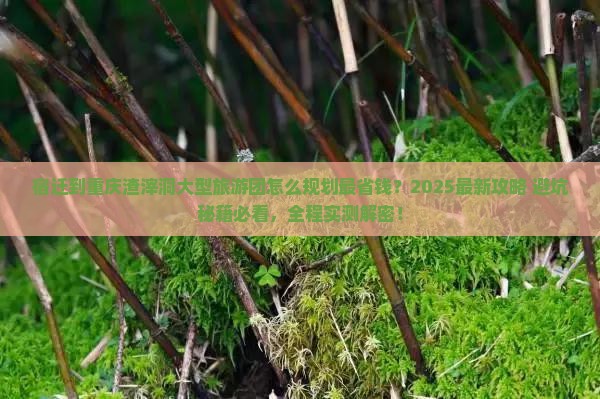 宿迁到重庆渣滓洞大型旅游团