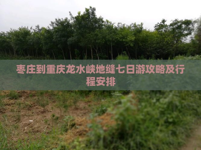 枣庄到重庆龙水峡地缝七日游