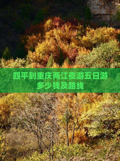 四平到重庆两江夜游五日游