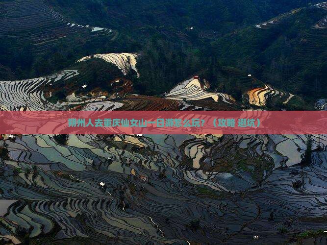 朔州去重庆仙女山一日