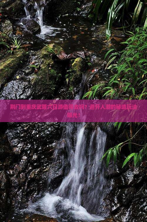 荆门到重庆武隆六日游 荆门到重庆武隆六日游