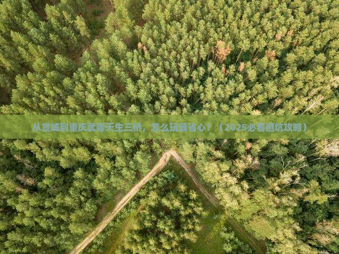 宣城到重庆武隆天生三桥景点