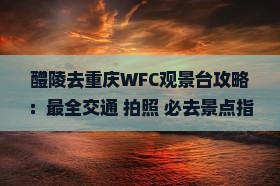 醴陵去重庆wfc观景台攻略