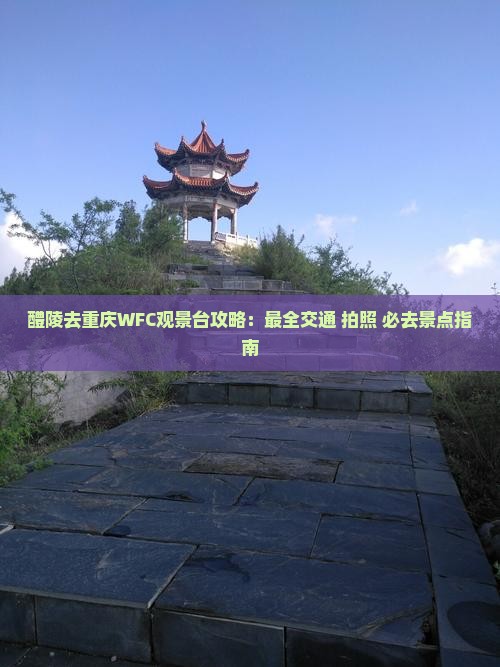 醴陵去重庆wfc观景台攻略