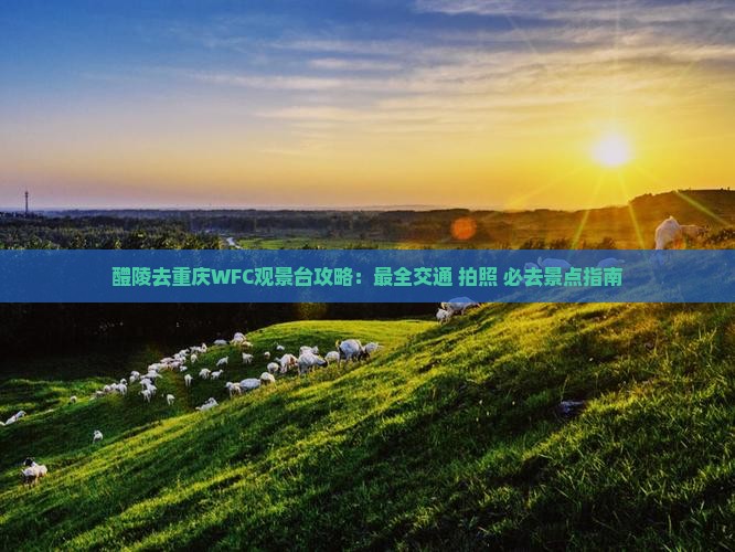 醴陵去重庆wfc观景台攻略