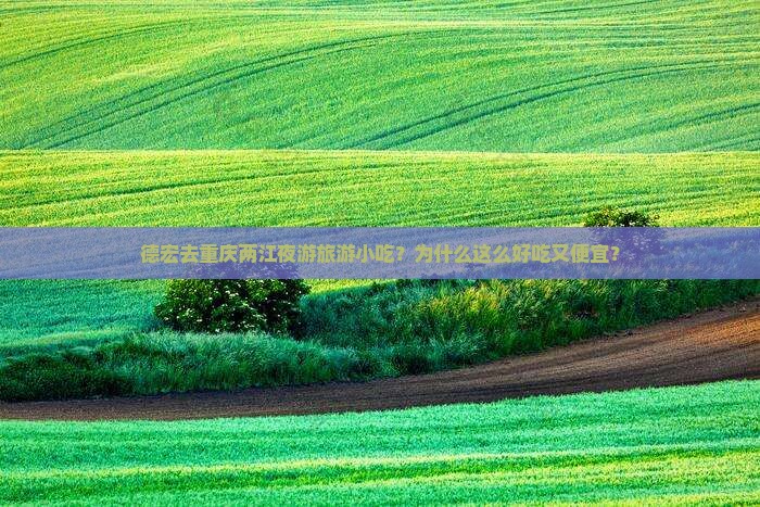 德宏去重庆两江夜游旅游小吃